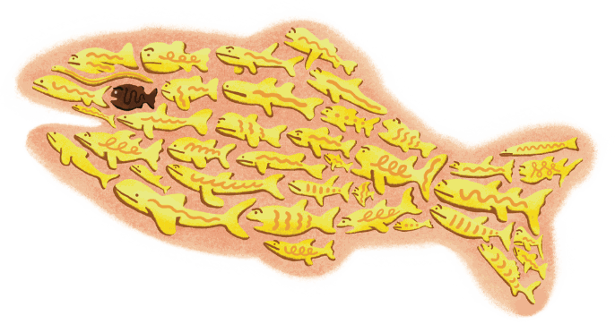 めぐる魚